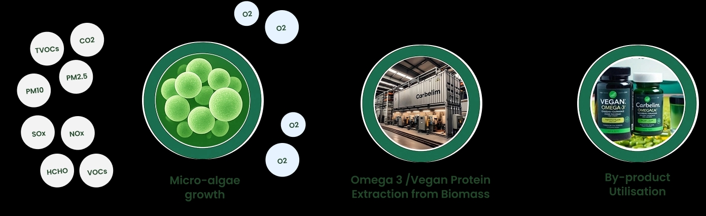 Pollutants to Protein Process